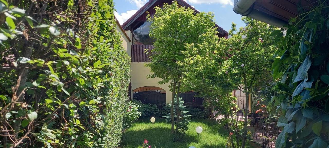 Pensiunea Magnolia سيبيو المظهر الخارجي الصورة