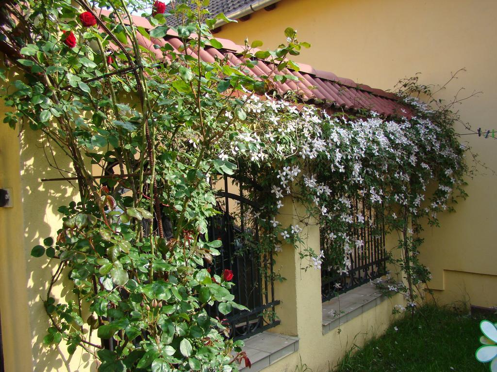 Pensiunea Magnolia سيبيو المظهر الخارجي الصورة
