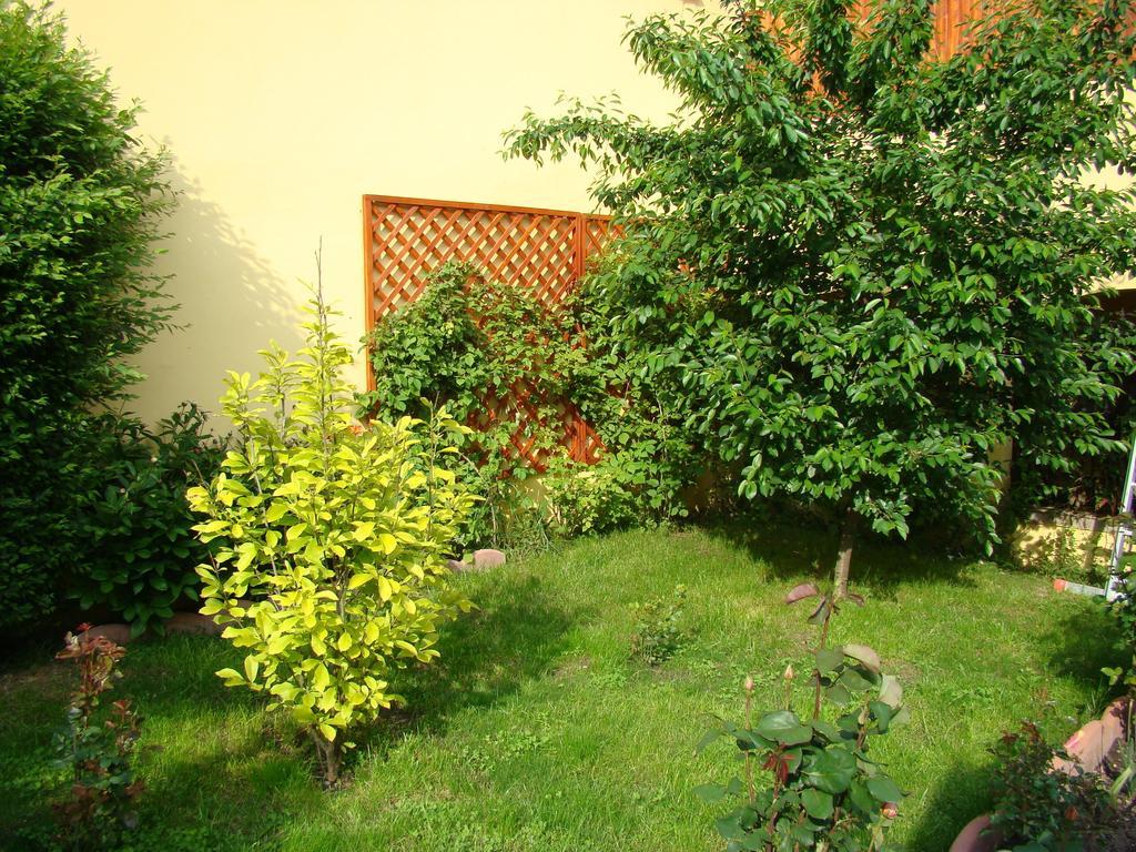 Pensiunea Magnolia سيبيو المظهر الخارجي الصورة