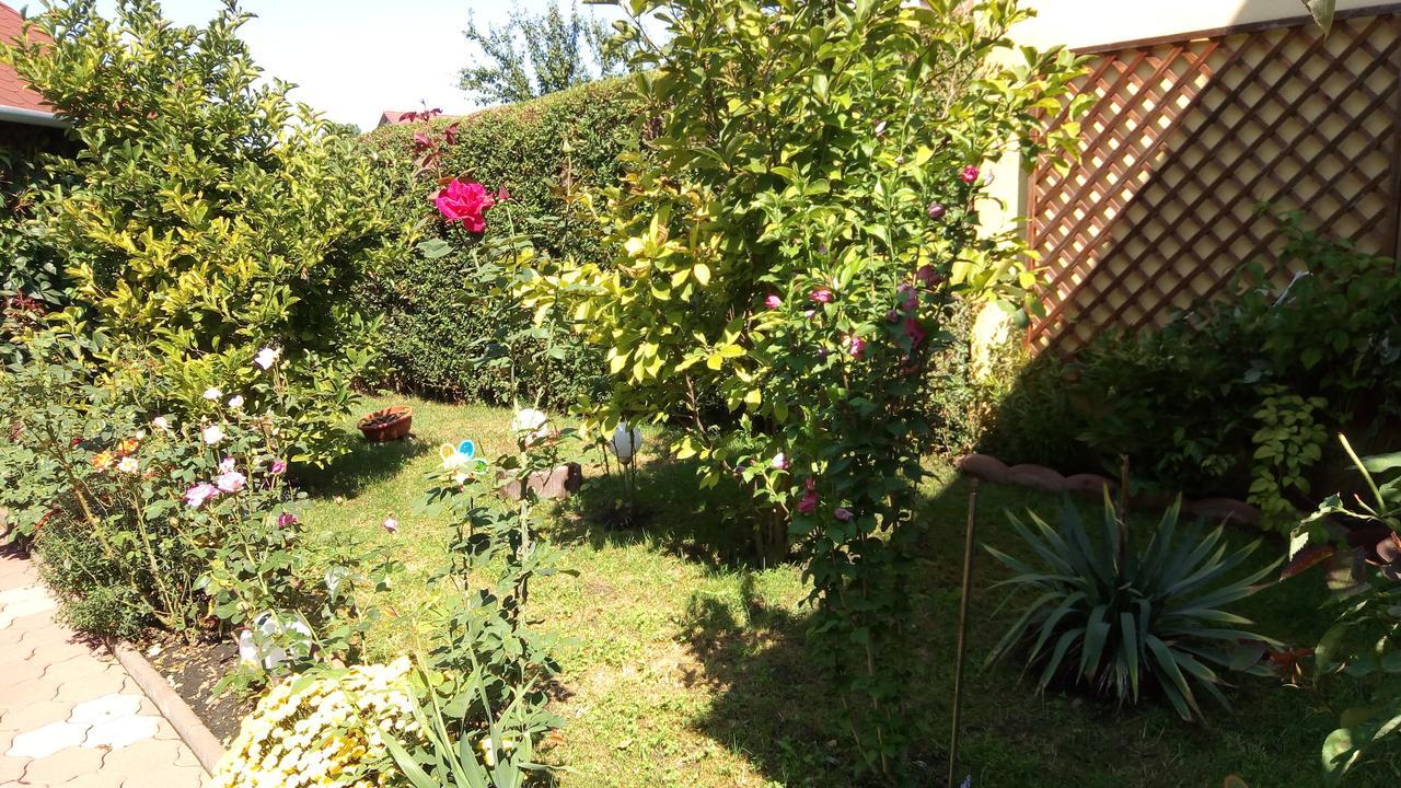Pensiunea Magnolia سيبيو المظهر الخارجي الصورة