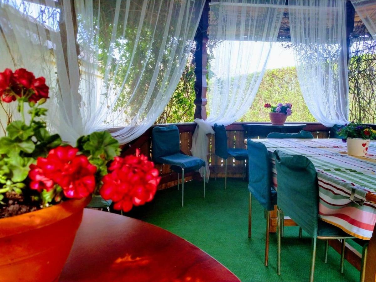 Pensiunea Magnolia سيبيو المظهر الخارجي الصورة