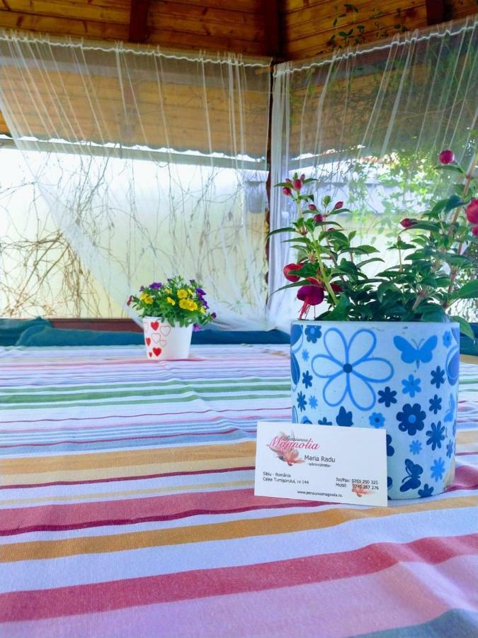 Pensiunea Magnolia سيبيو المظهر الخارجي الصورة